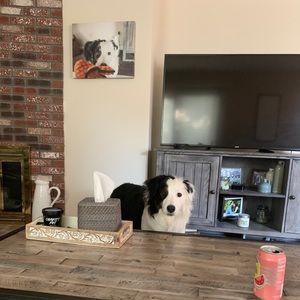 Meet your Posher, Elizabeth